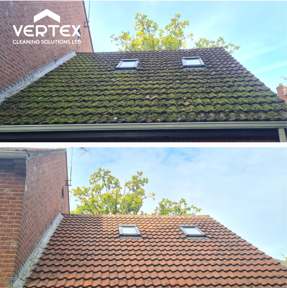 Soft wash roof cleaning before and after soft washing