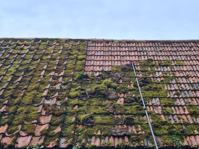 roof moss removal