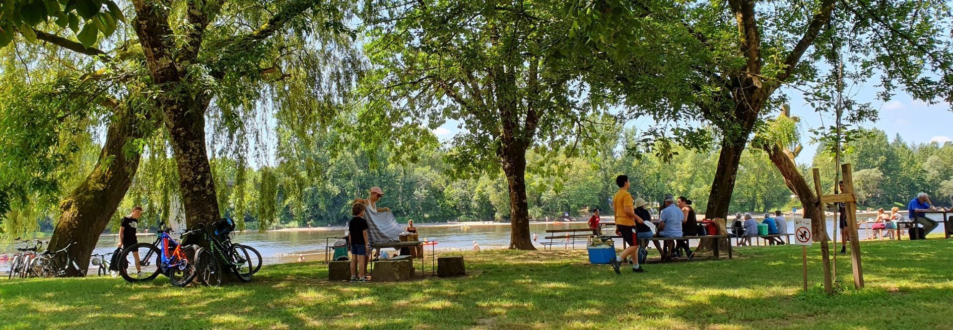 People gather under shady trees near a lake. Bicycles are parked nearby, enjoying the summer day.
