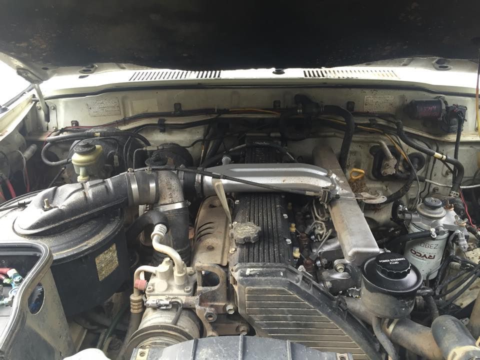 The Engine of a Car is Shown With the Hood Open — Shoalhaven Diesel Tech in South Nowra, NSW