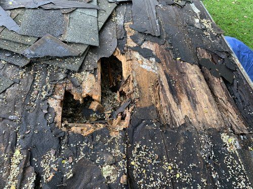 roofing services 32