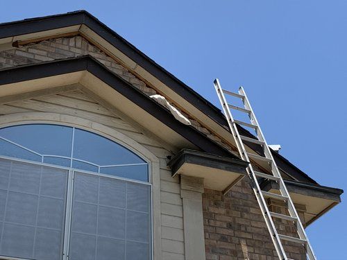 roofing services 43
