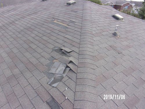 roofing services 55