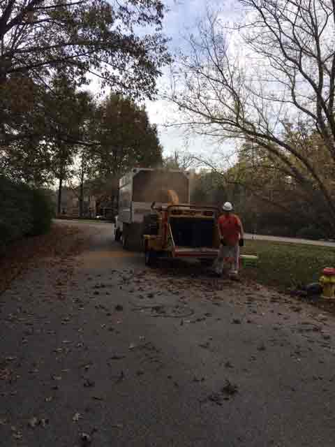 Truck — Tree Service in Cedar Hill, MO