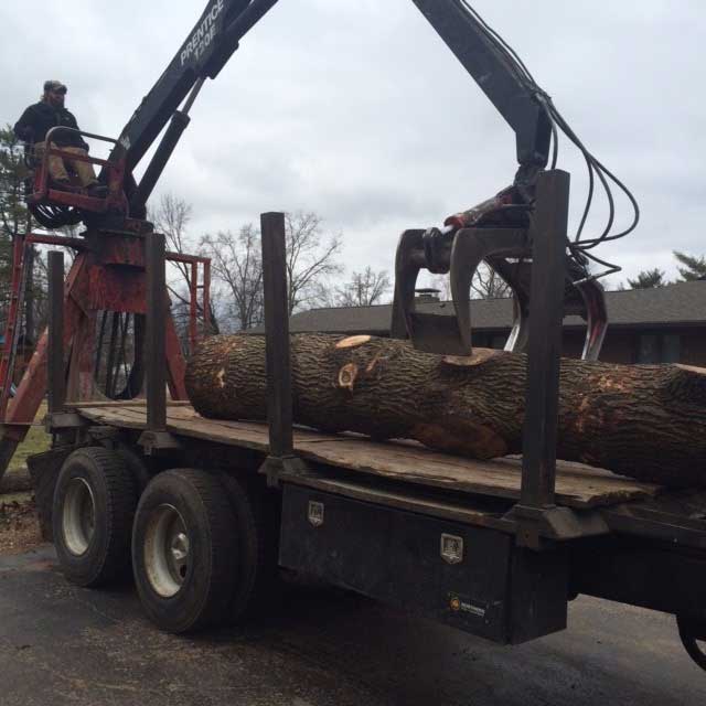 Man Loading Cut Trees to the truck — Tree Service in Cedar Hill, MO