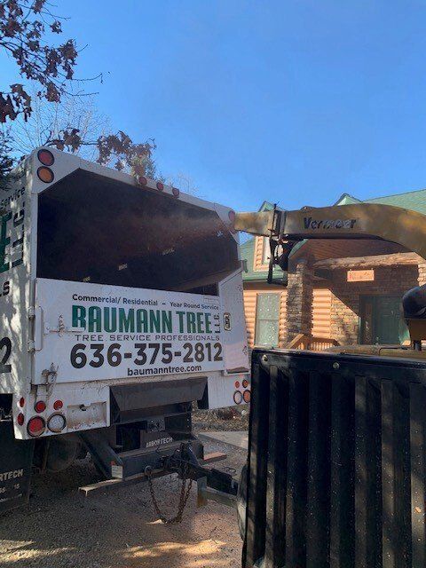 Truck Collecting Tree Waste — Fenton, MO — Baumann Tree