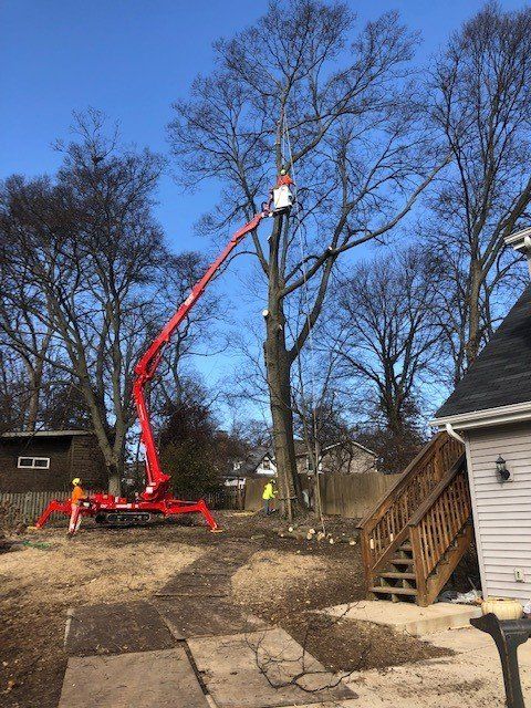 Tree Cutting With Lifting Crane — Fenton, MO — Baumann Tree