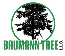 Baumann Tree