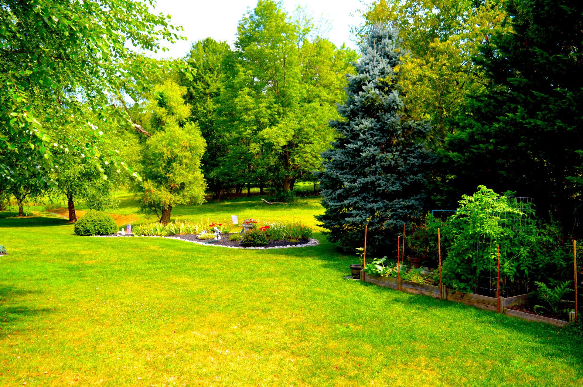 A lush green lawn with trees in the background
