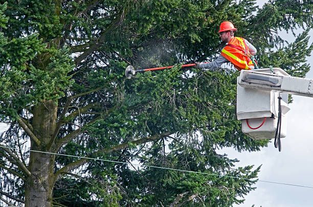 Utility worker trimming tree branches from bucket truck using saw near power lines outdoors safely.