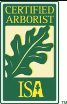 Certified Arborist logo with a green oak leaf, the words 