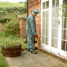 Wasp Nest Removal Norfolk & Suffolk