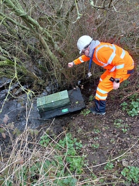 Mink Control Specialist Setting Equipment in Nature