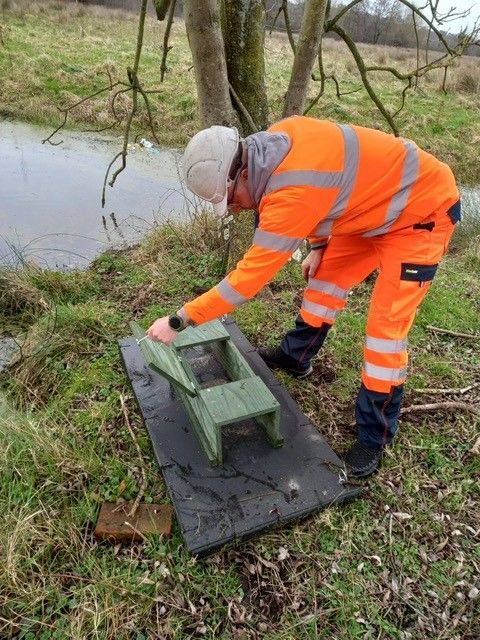 Pets Control Professional Adjusting Mechanism in Natural Setting