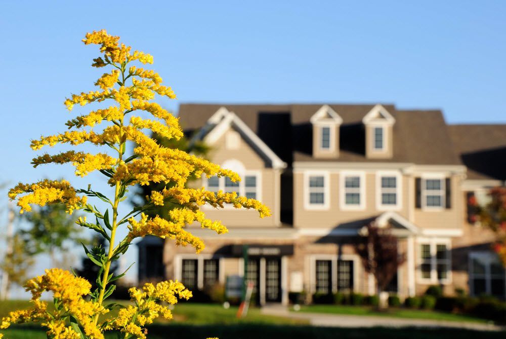 Town Home Exterior | Sal Lapio Homes