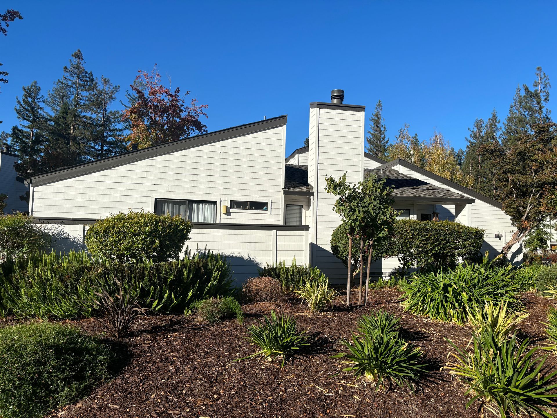 Two-story apartment building with a balcony, brown siding, and a large tree in the foreground.