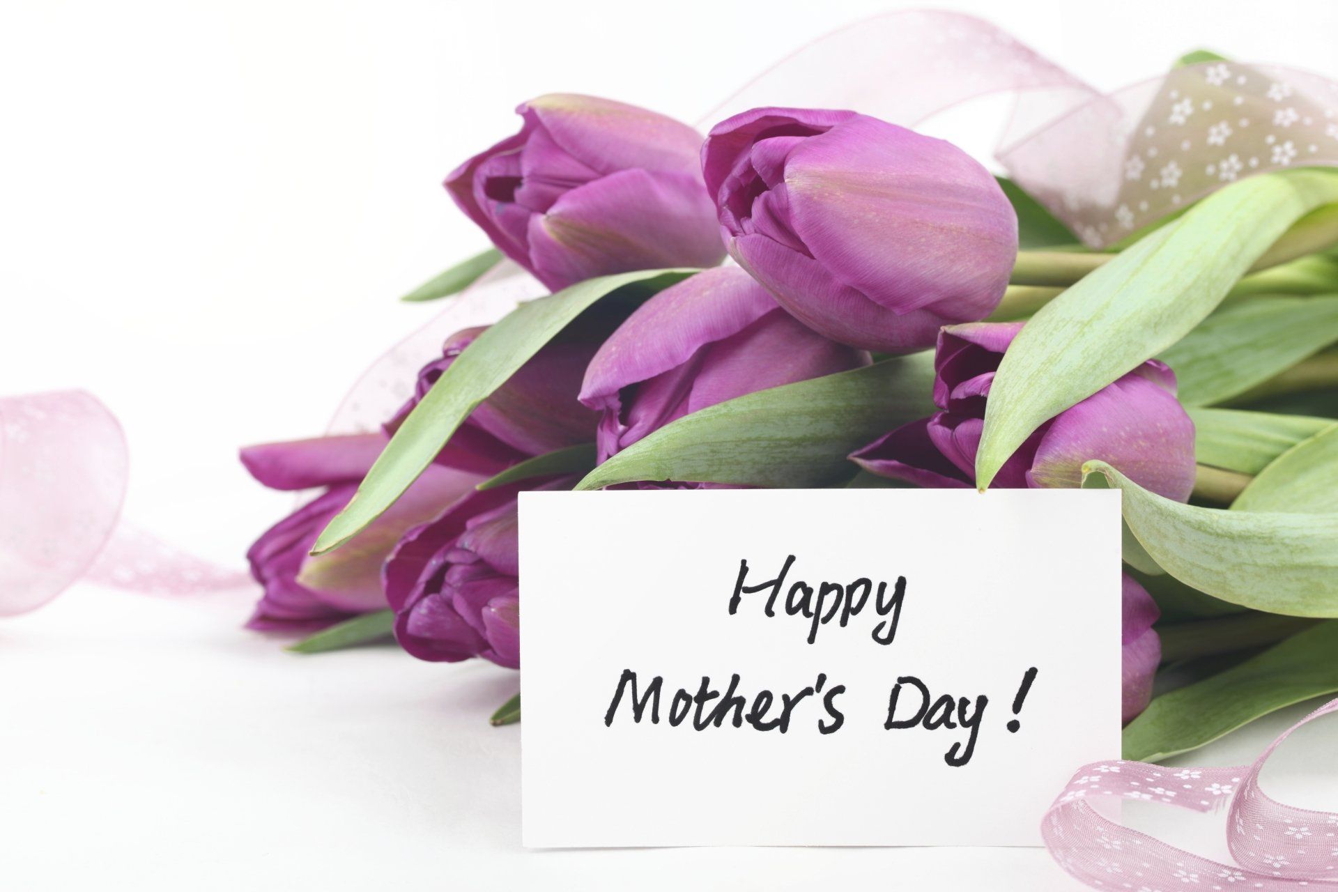 Flower Selection — Violet Tulips in Dallas, Texas