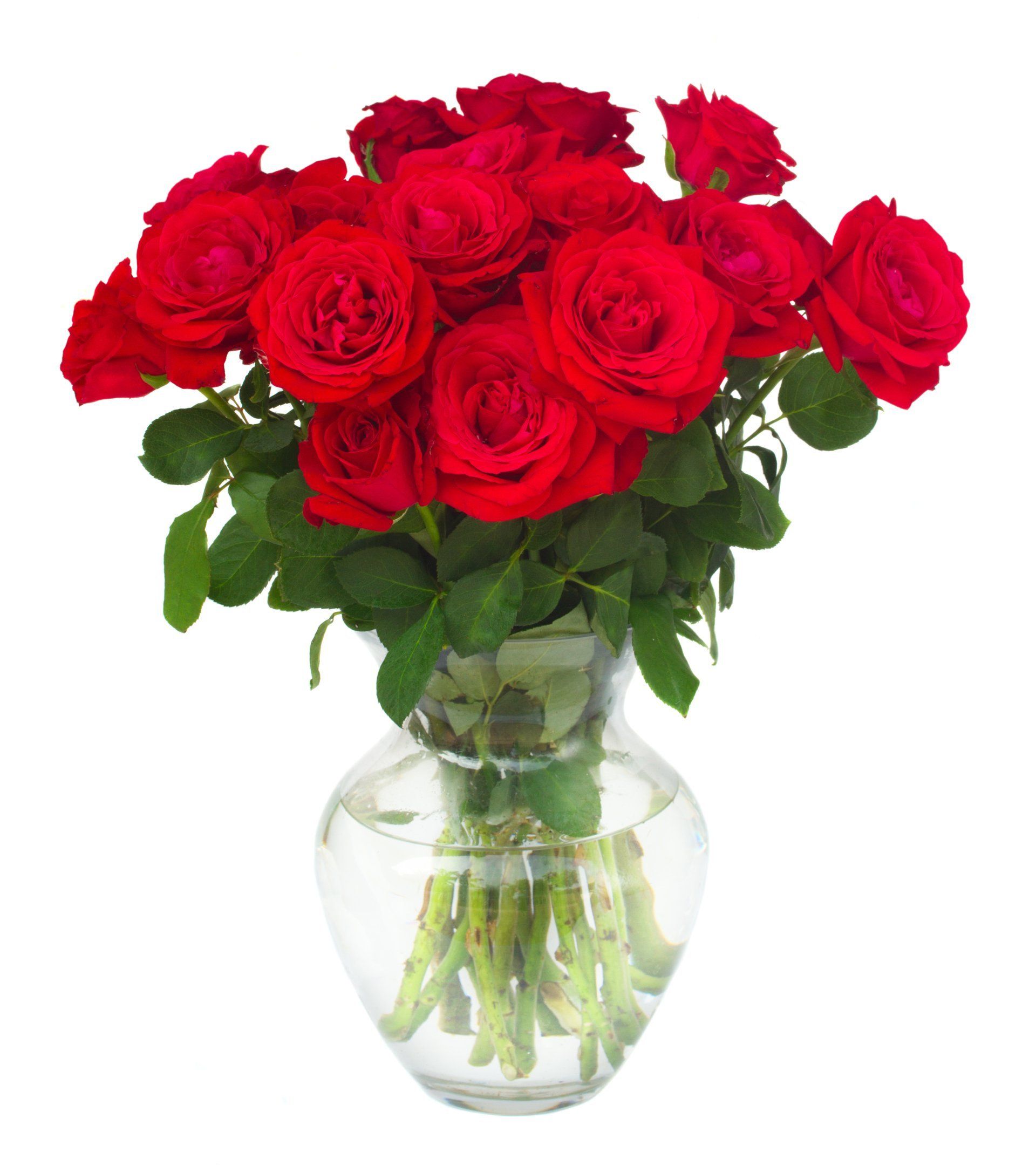 Floral Delivery — Red Roses in a Vase in Dallas, Texas