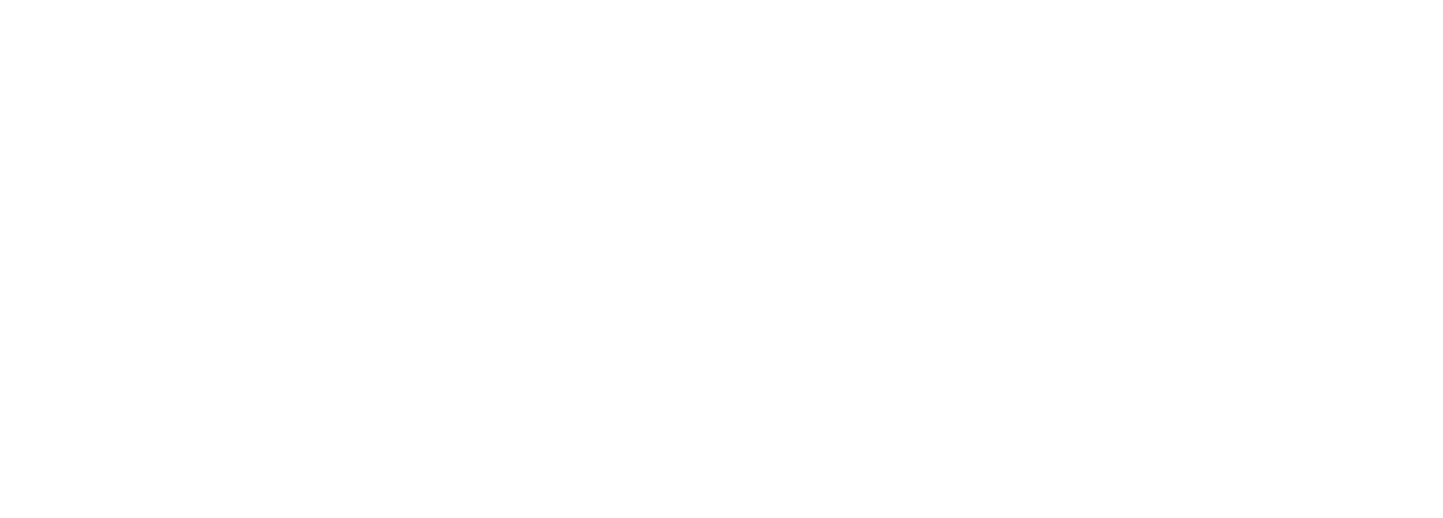 The District at Manhattan Logo