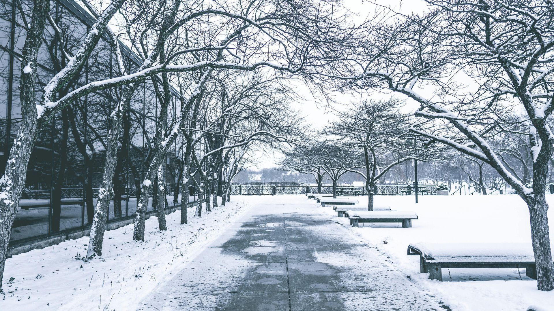 A black and white photo of a snowy park with trees and benches