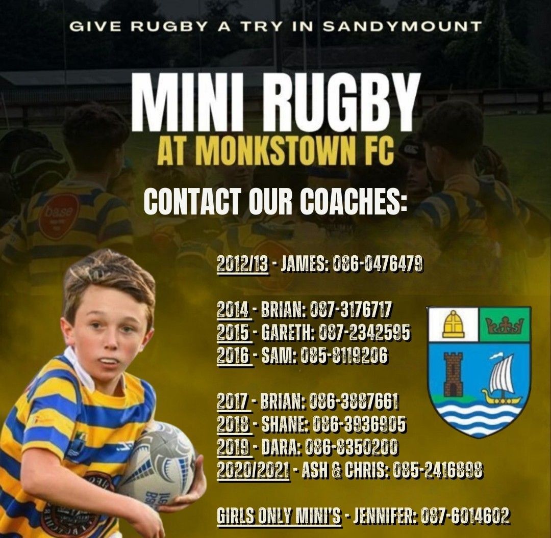 Over head shot of mini rugby team