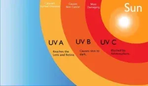 Diagram showing UV radiation from the sun: UVA, UVB, and UVC levels, with associated skin effects and reach.