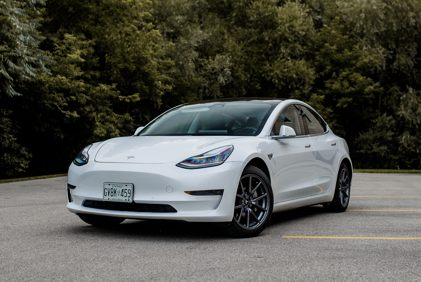 White Tesla car parked on asphalt with trees in background.
