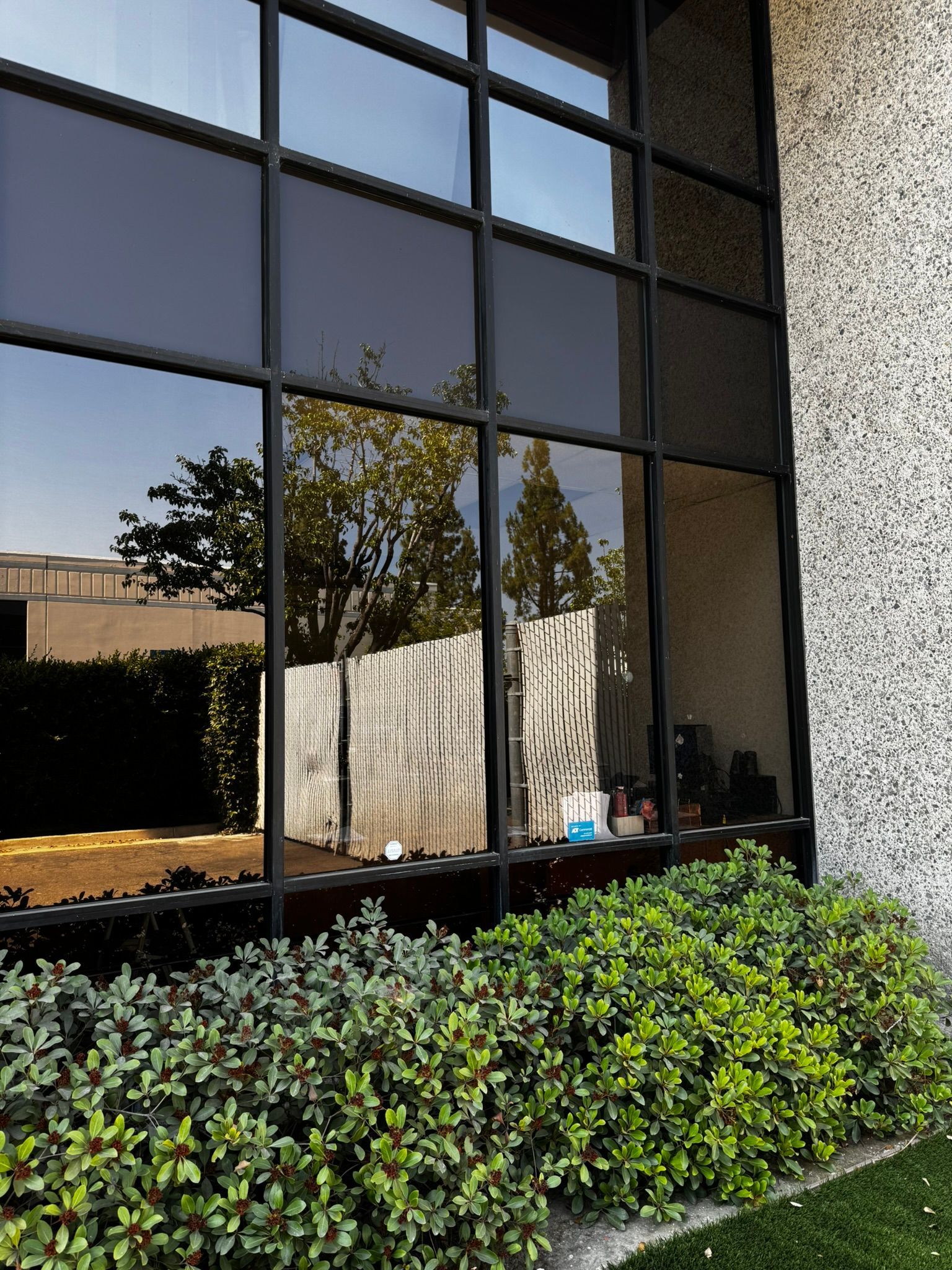 Large, dark-tinted office window reflecting trees, sky, and a fence. Green bushes and a textured wall are visible.