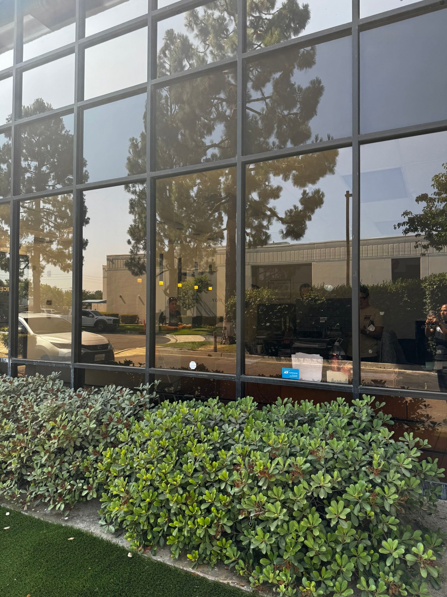 Building exterior with large windows reflecting trees, sky, and landscaping; green bushes in the foreground.