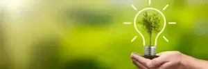 Hand holding a glowing lightbulb with a tree inside against a green, blurred background.