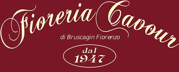 Fioreria Cavour - Logo