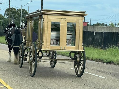 Horse-drawn hearse, gold trim and glass panels, on a road. Two horses in harness.