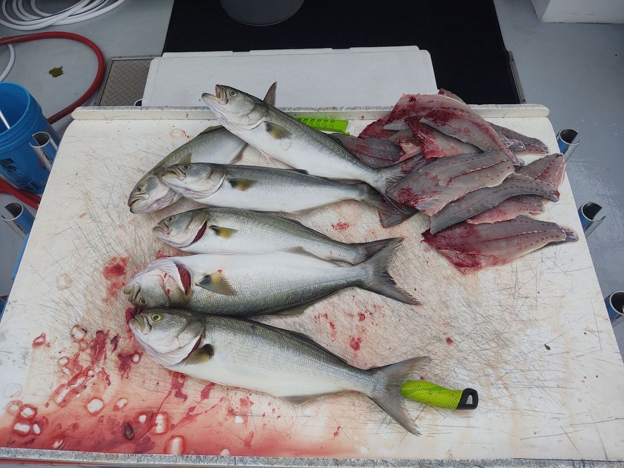 A bunch of fish are sitting on a cutting board