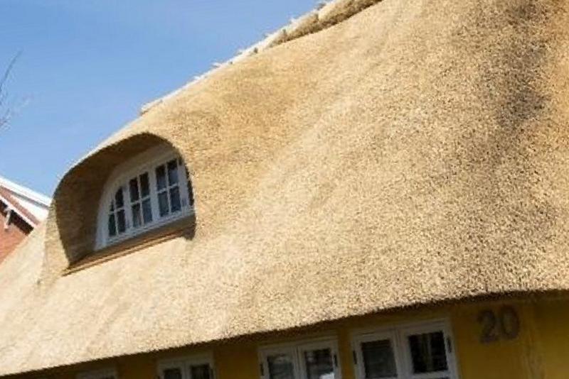 Tømrer Tækkemand Peter Høy ApS - Vedligeholdelse