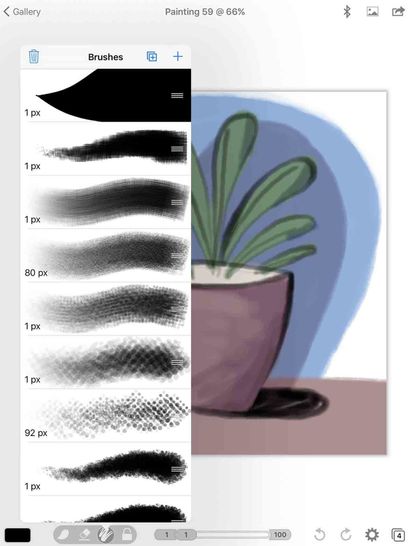 The drawing of a plant on a computer program and the use of shadows.