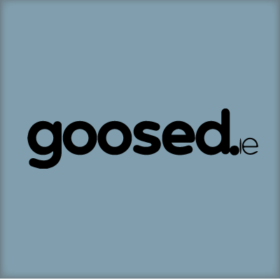 Article about Scriba stylus published by goosed.ie