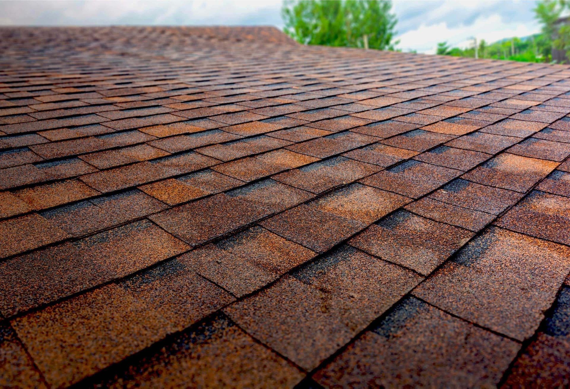 Roof With A Blue Sky — Leland, NC — Coastal Exterior Solutions