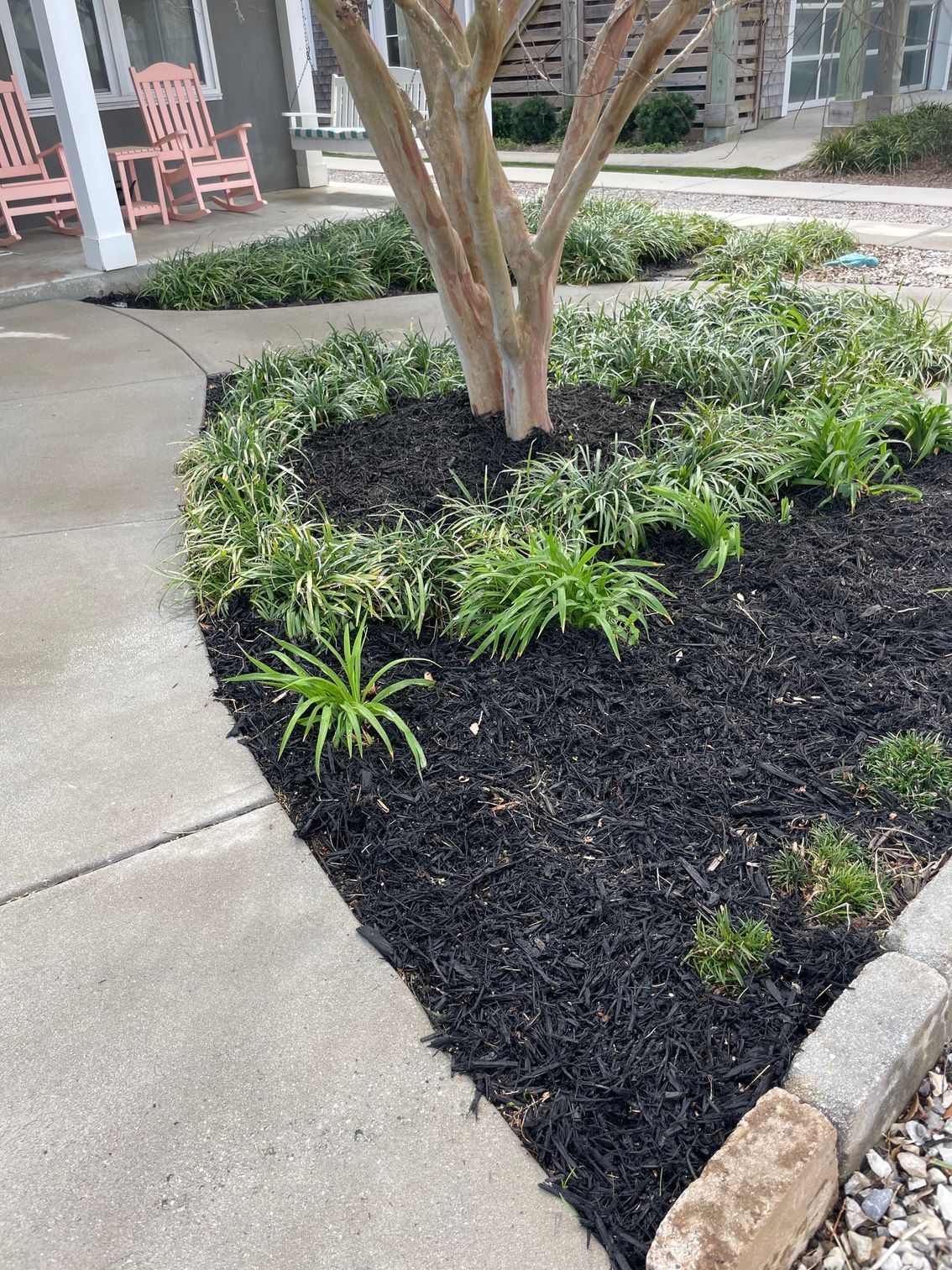 A Tree In The Middle Of A Garden — Leland, NC — Coastal Exterior Solutions