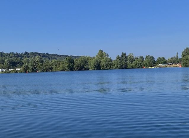 A large body of water surrounded by trees on a sunny day.