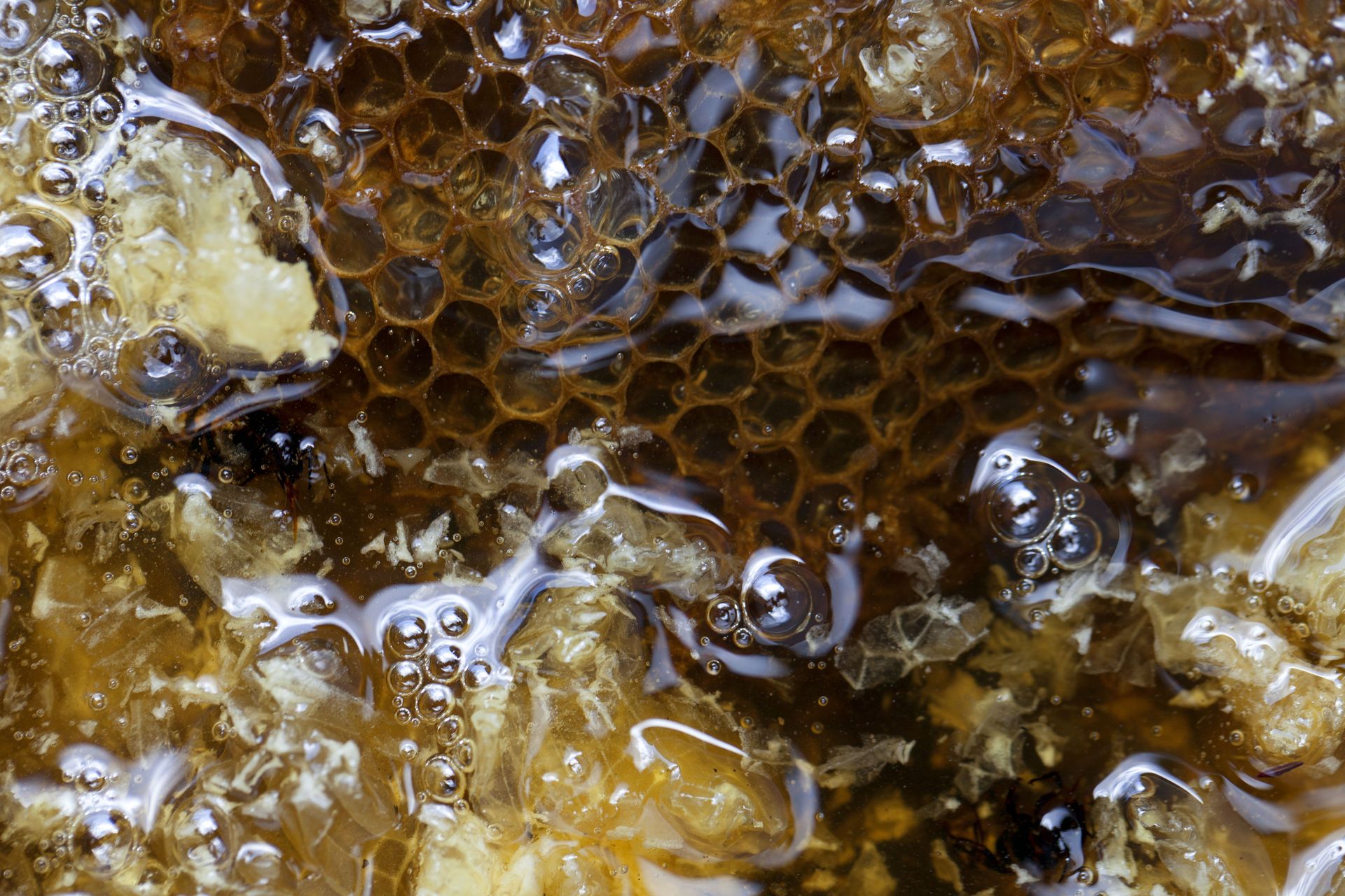 Men standing outdoors during a community livelihood discussion.