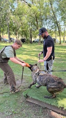 Man training a dog. Dog bites training sleeve held by another man. Outdoors setting.