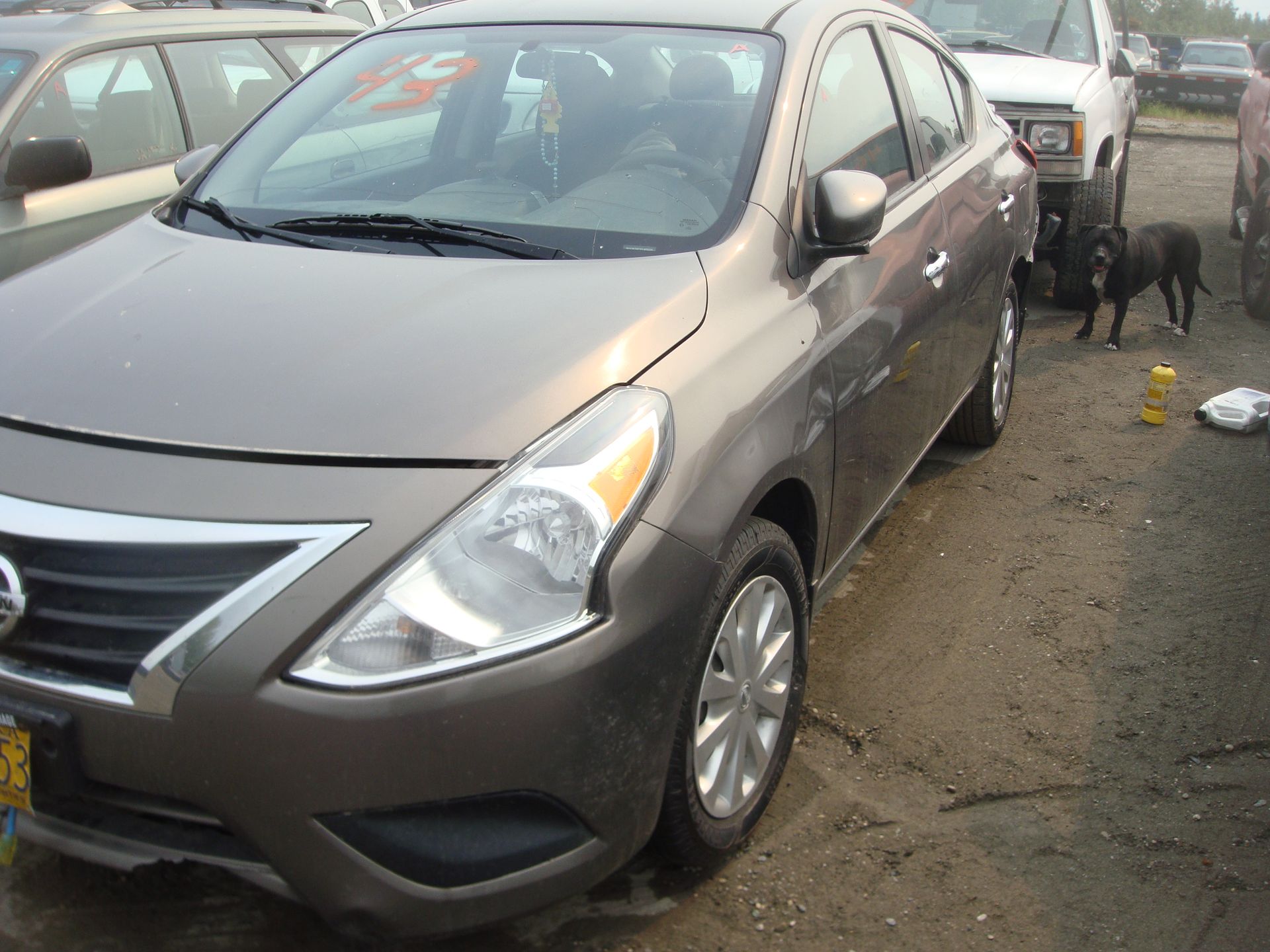 A gray car is parked in a parking lot next to a dog