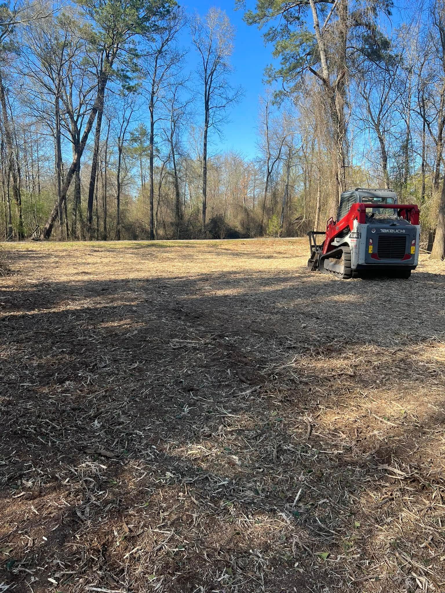A red skid-steer loader parked on a clearing of shredded wood mulch, surrounded by trees under a clear blue sky.