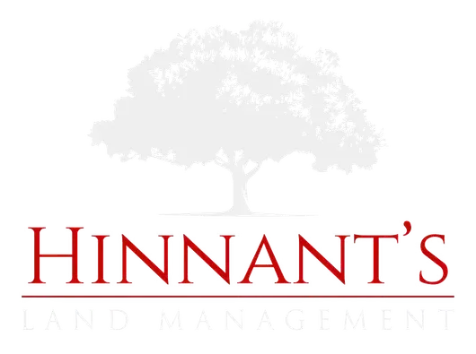 A large, faded gray tree silhouette above the red, serif text