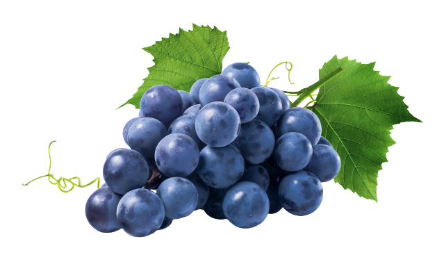 Blue grapes