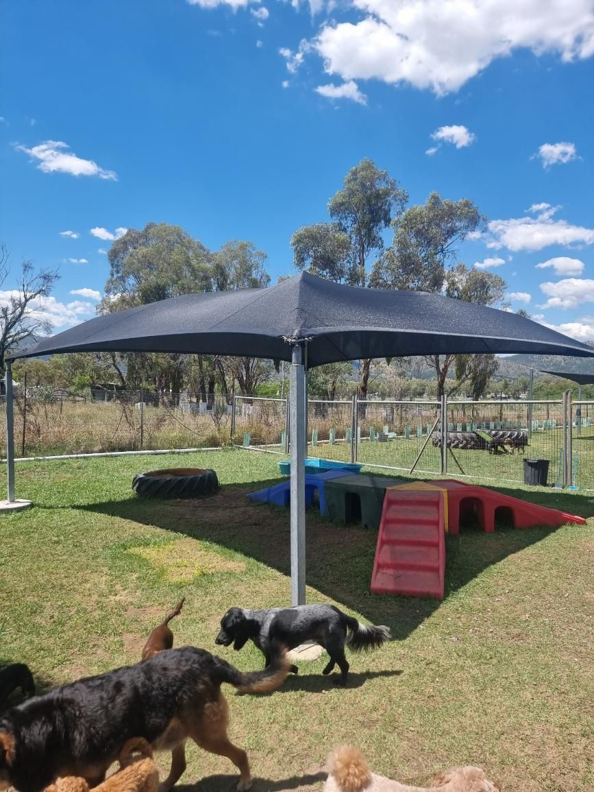 Black Shade Sail — New England Shade Sails in Tamworth, NSW