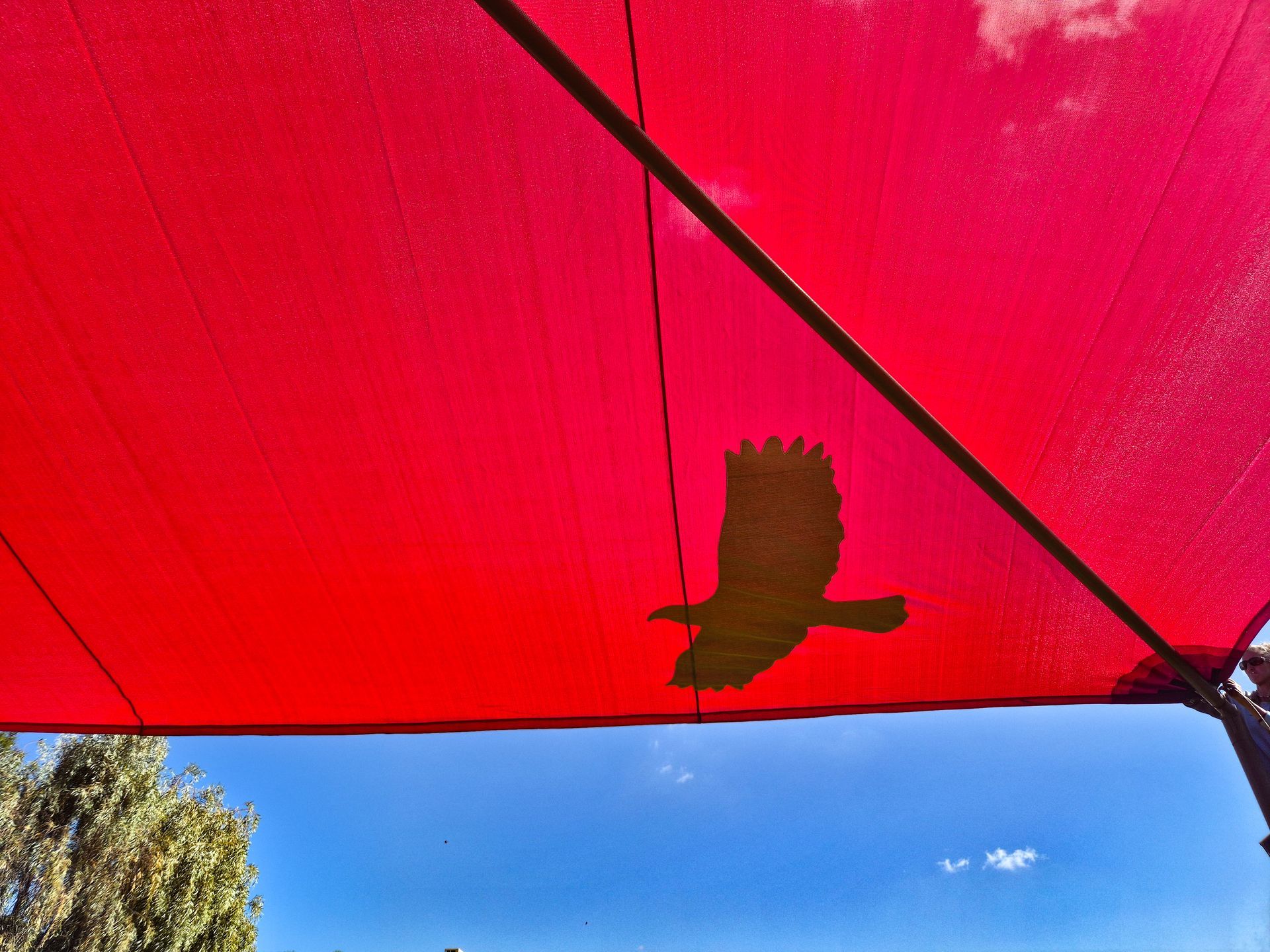 A House with A Carport and A Concrete Driveway — New England Shade Sails in Armidale, NSW