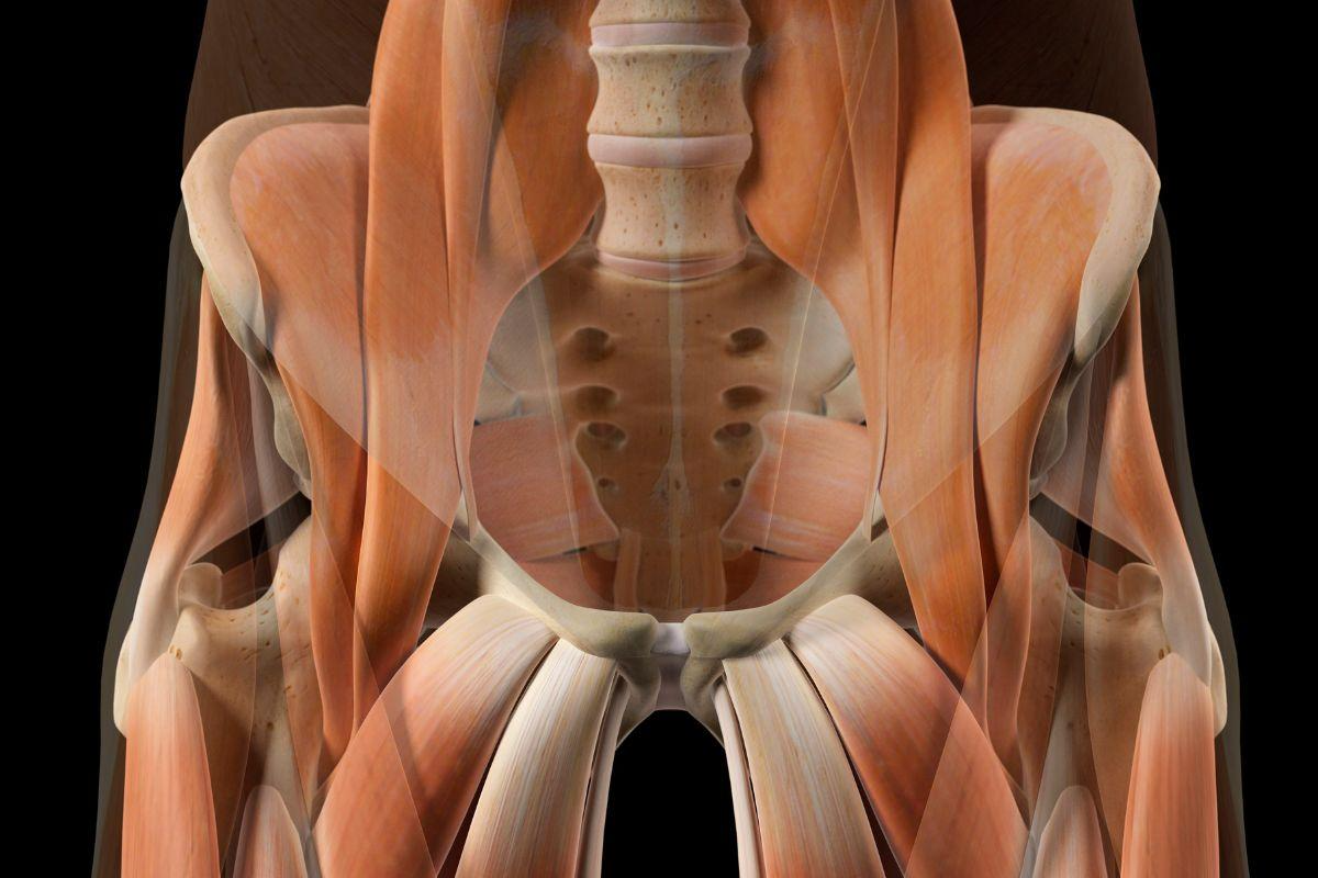 dor-miofascial-causas-dr-ricardo-kirihara-ortopedista-quadril-sao-paulo