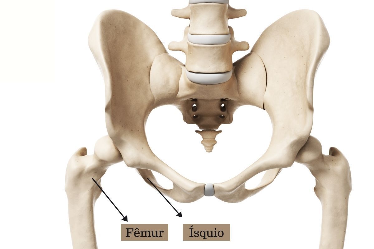 isquio-femur-dr-ricardo-kirihara-ortopedista-cirurgia-quadril-sao-paulo