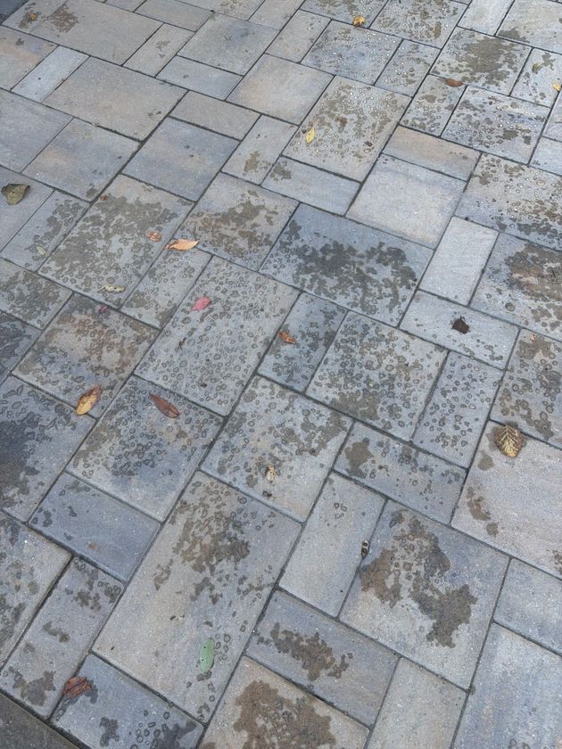 Austin and Sons driveway sealing service Roanoke